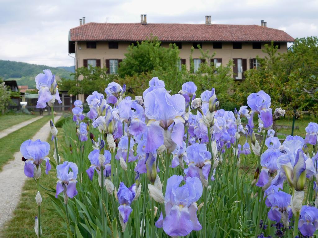 U Tej Bed & Breakfast Cumiana Bagian luar foto