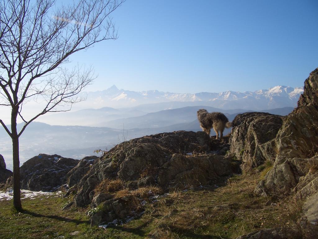U Tej Bed & Breakfast Cumiana Bagian luar foto