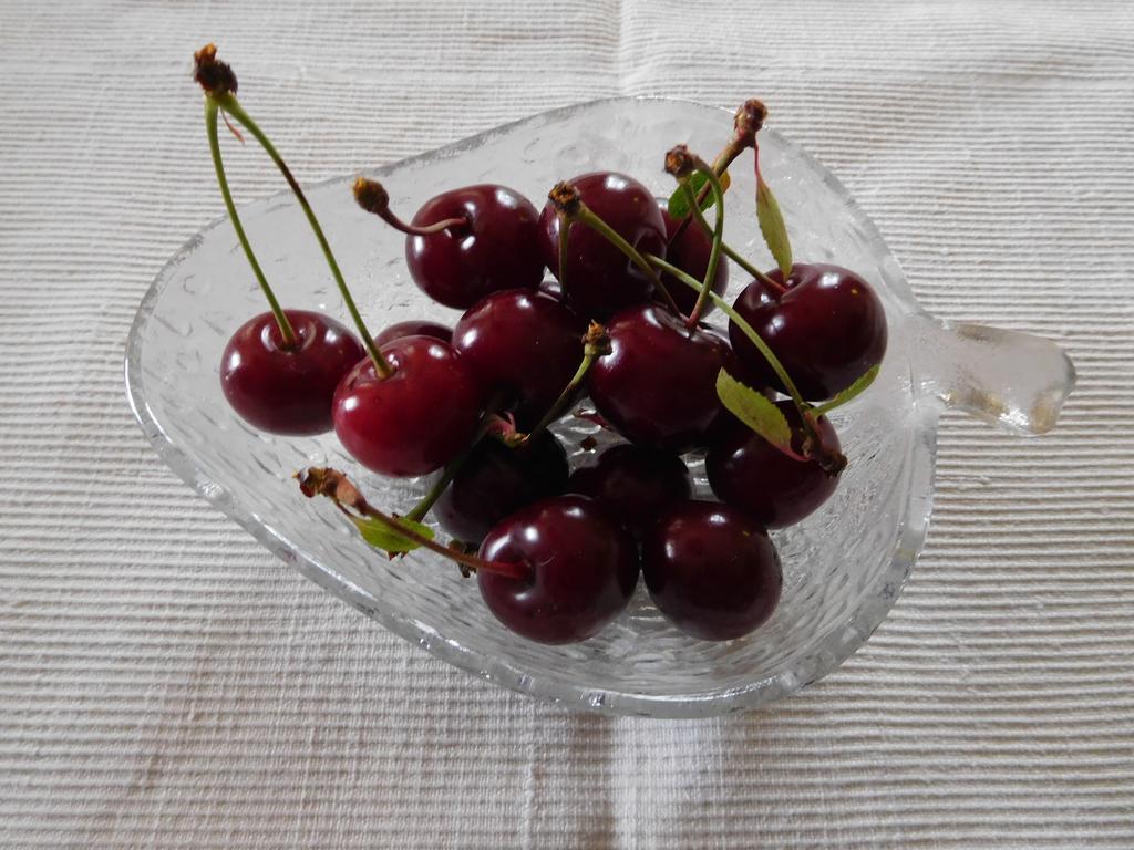 U Tej Bed & Breakfast Cumiana Bagian luar foto